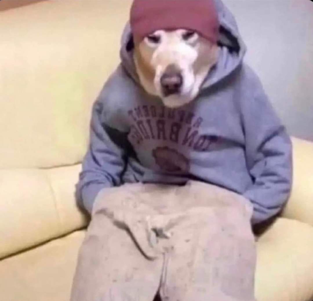 me once the first day of fall hits