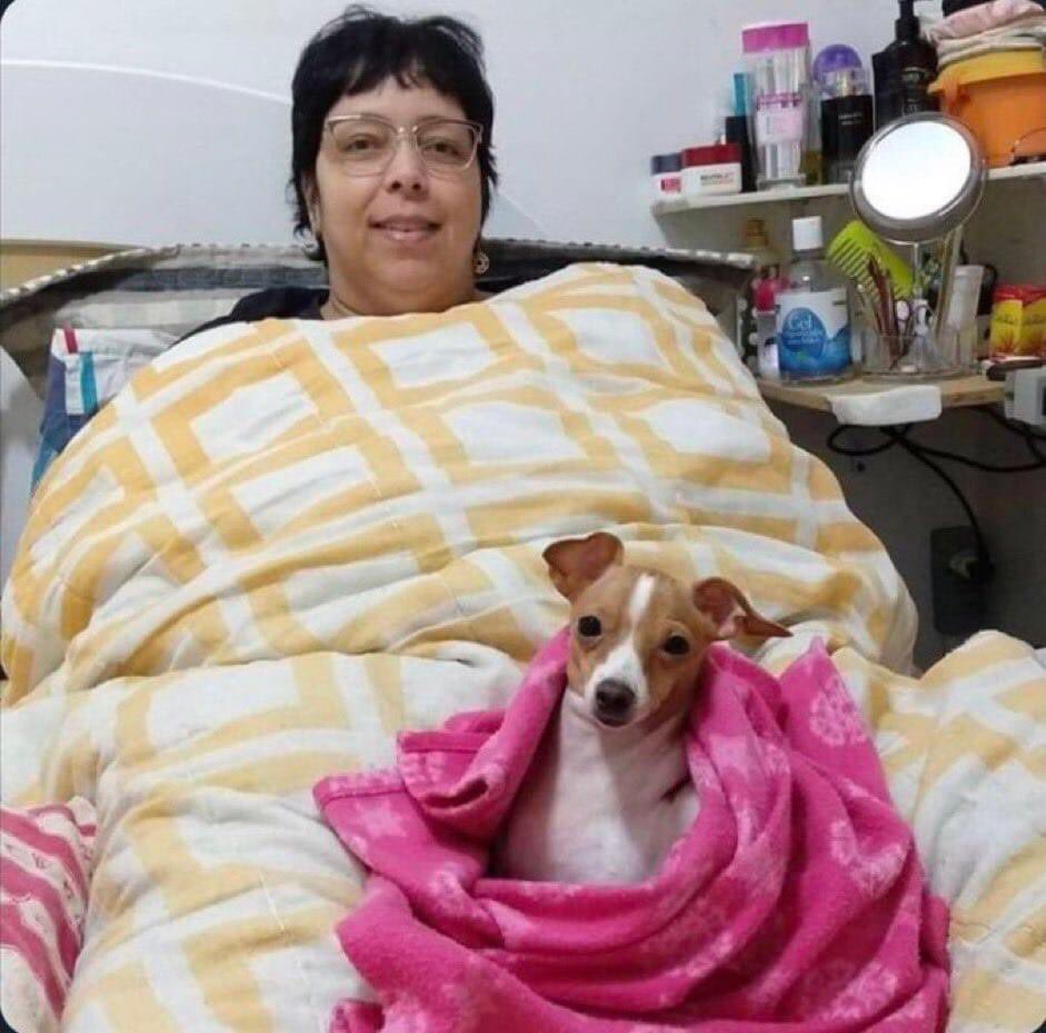 “tempo esfriou” eu e meu pet em casa: