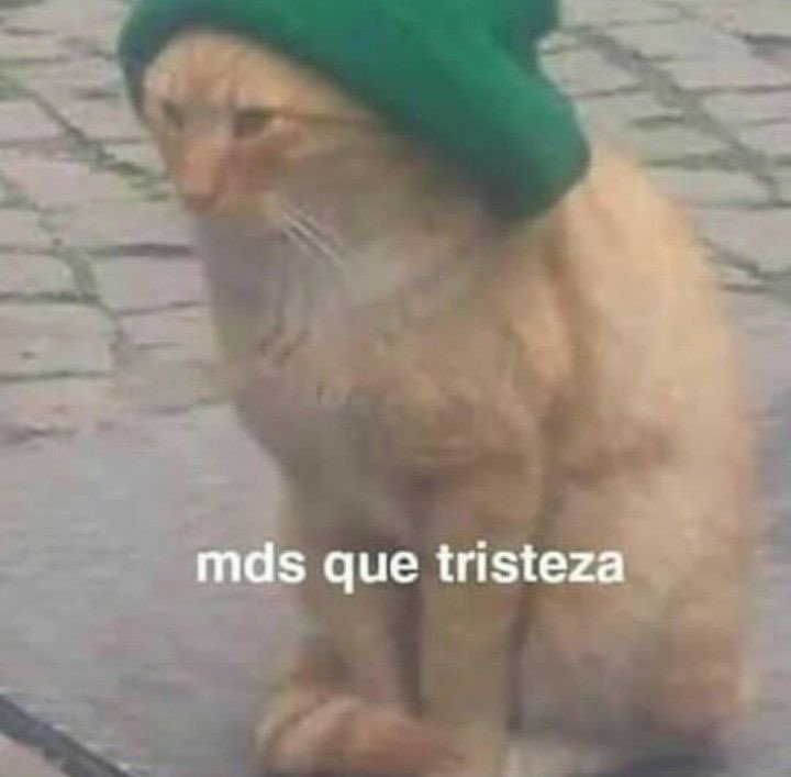 Itspedrito's tweet photo. lembrando que ainda tenho mais 3 dias p enfrentar até o sábado https://t.co/ZEj6uTQJ3K