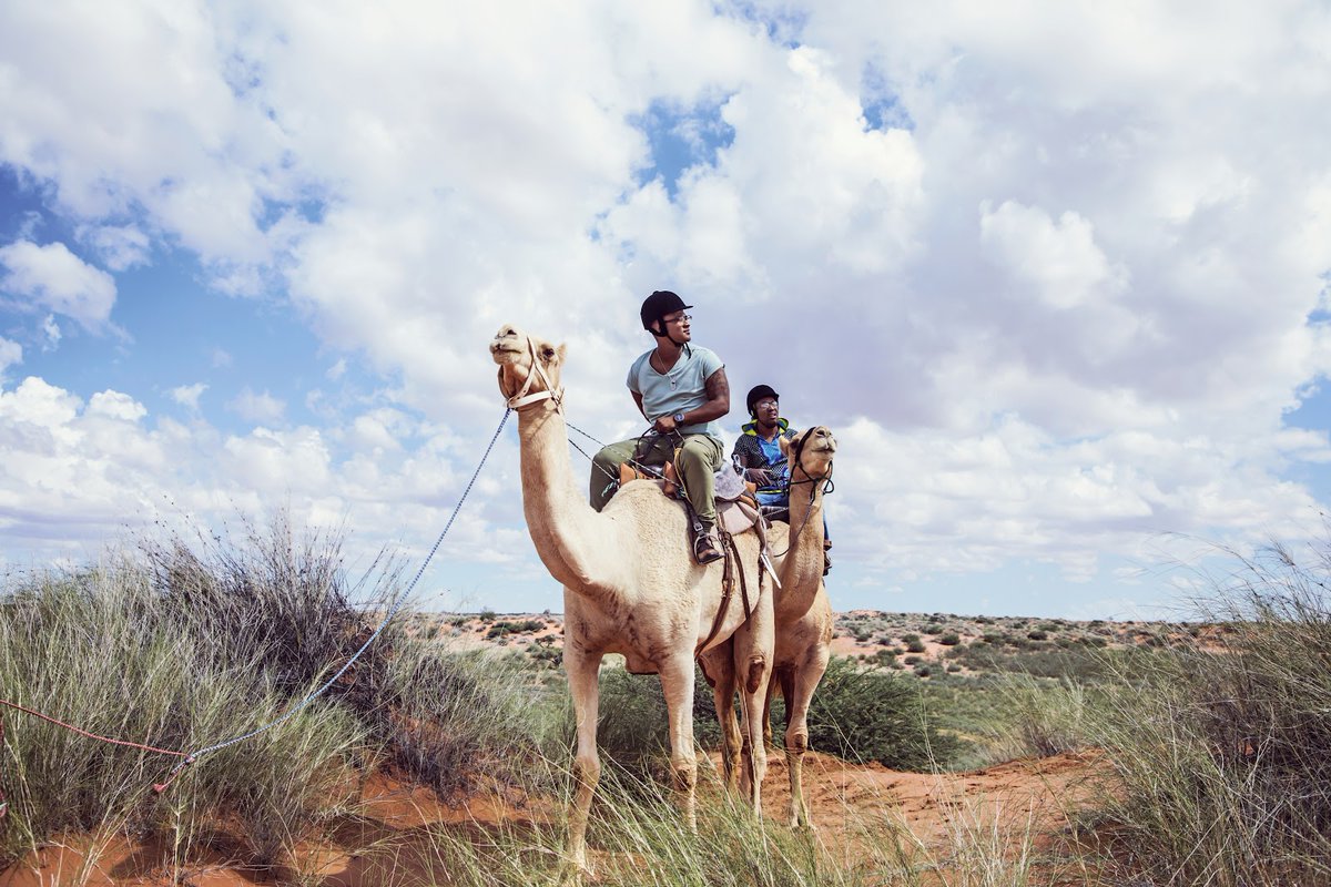 We have one question on our mind. Would you rather go sightseeing by horseback or camelback? 🐎🐪  #VisitSouthAfrica