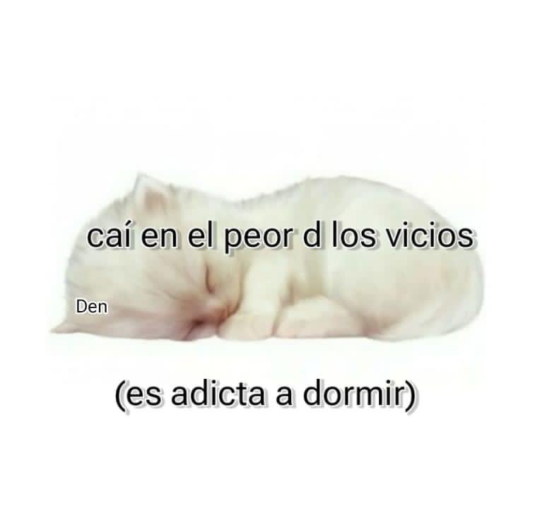 ya no hay vuelta atrás