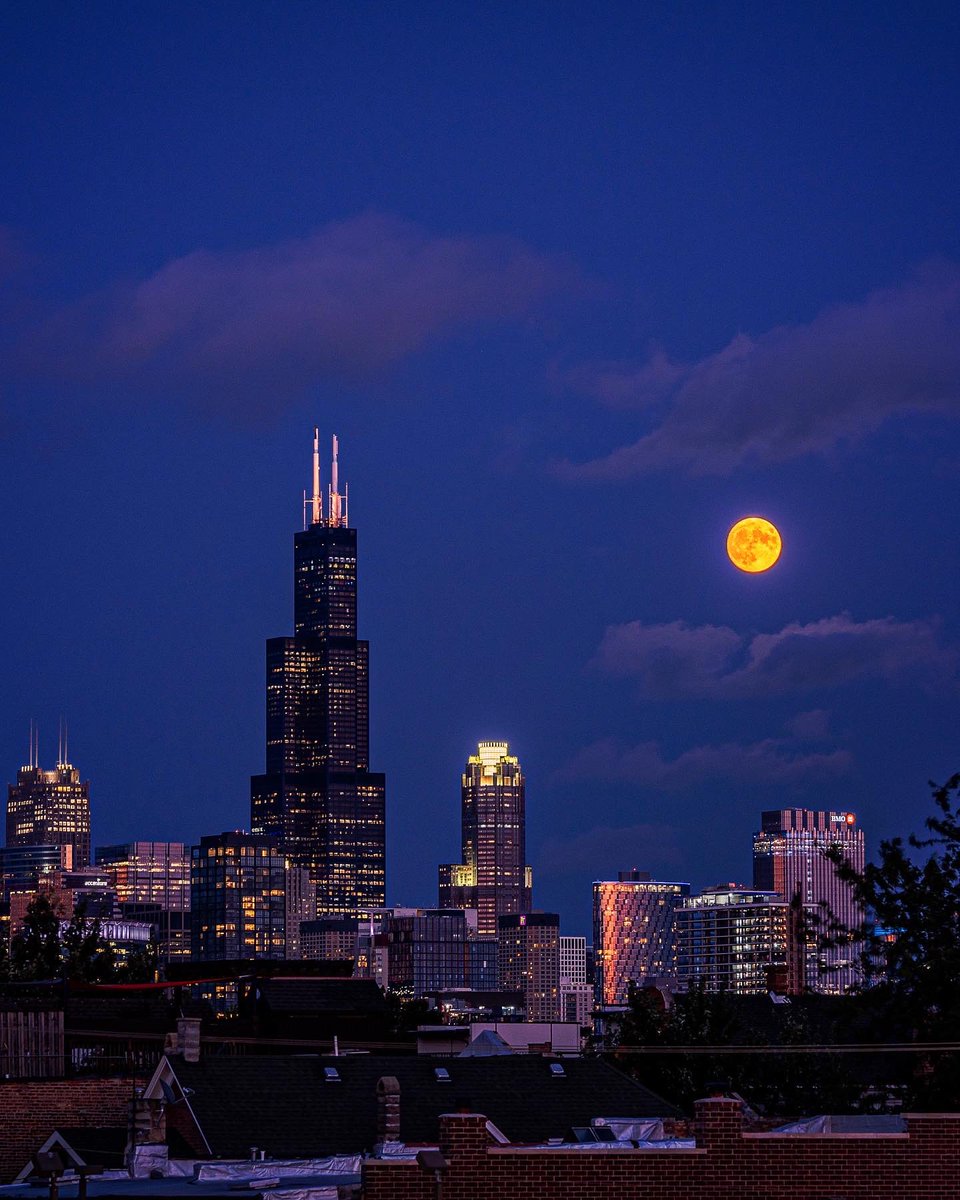 JoshuaMellin's tweet photo. 🌖 Moonhunting #Chicago https://t.co/UTMGc04Wlu https://t.co/r0fHVhkq45