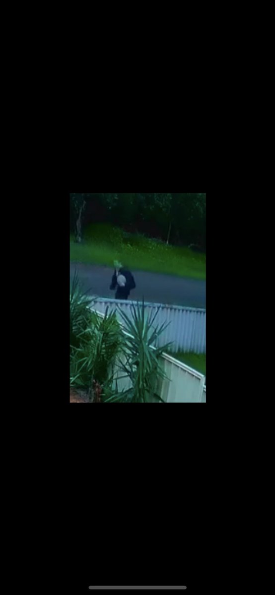 Collie Police tweet media