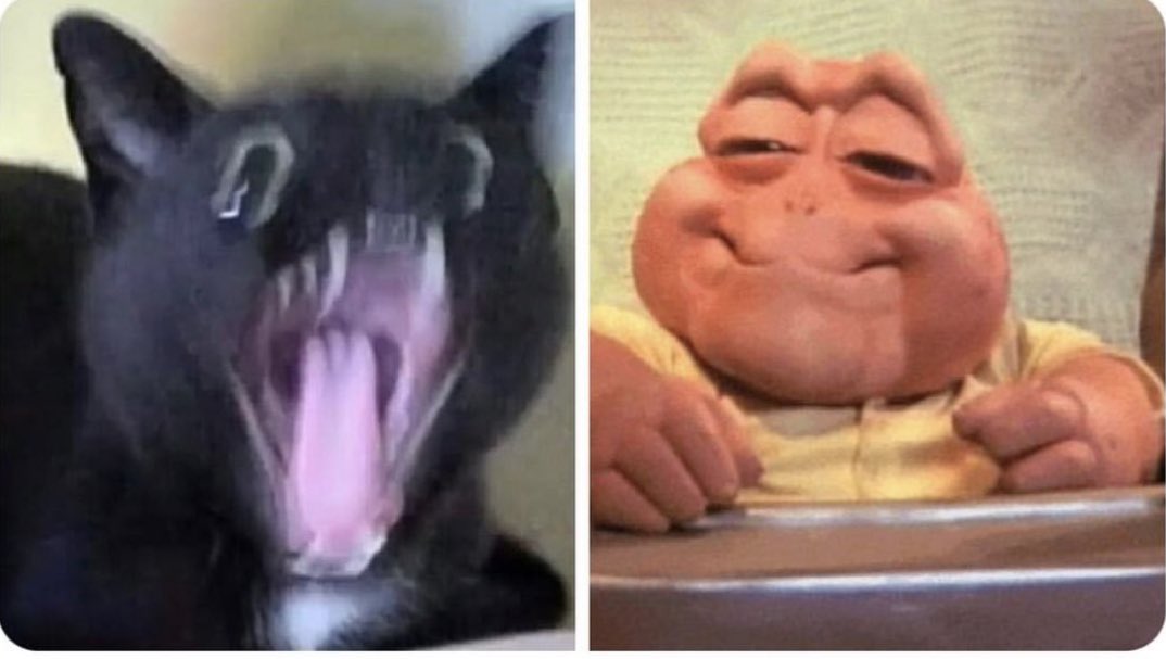 digitalcell_'s tweet image. Quando meu carregador quebra // Eu lembro que tenho a #DigitalCell pra me salvar