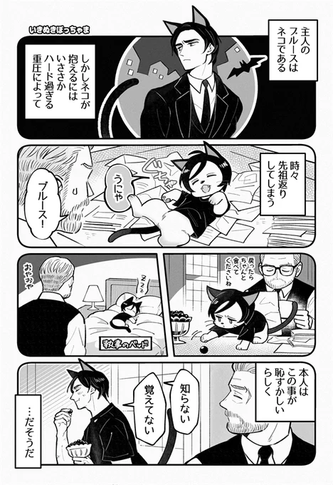 ねこブル定期 