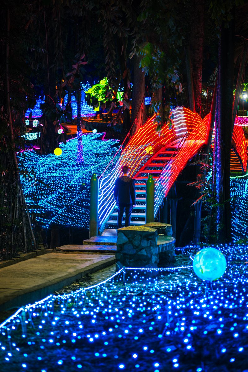 Heartpatrick tweet media