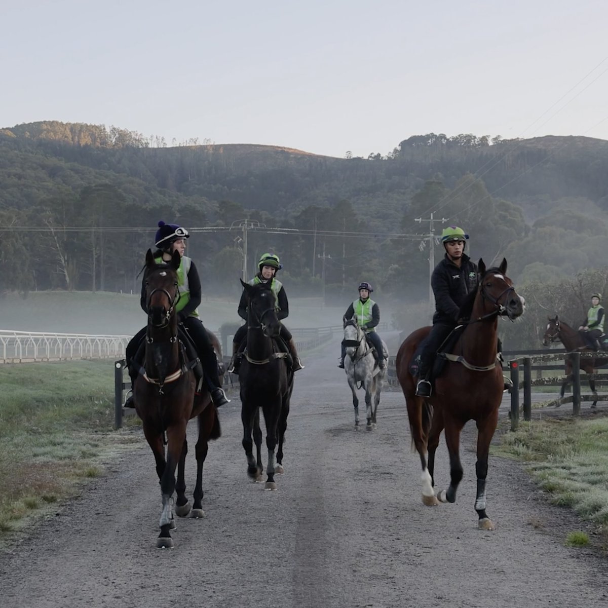 There’s a great team that is really the heart of Liam Howley Racing. Our staff are energetic and have a true love for the horses in their care. 

We think it’s the key to success and love the work they do - day in day out.