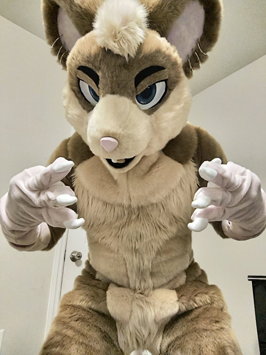 Six rings  

Suit by <a href="/CCFursuits/">Carolina Critters</a>