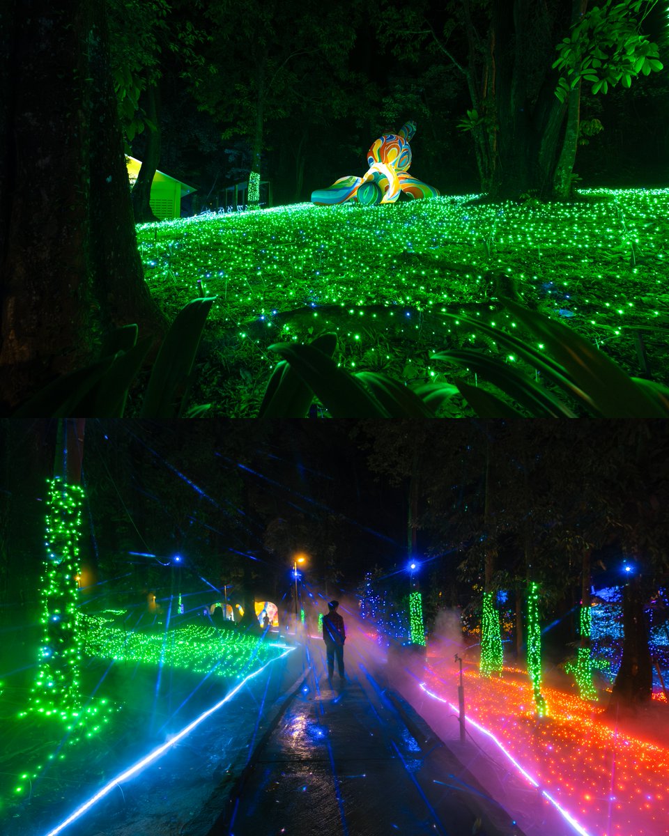 Heartpatrick tweet media