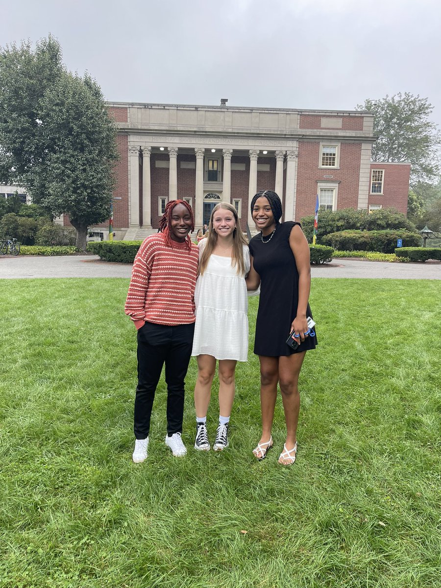 Sara Binkhorst tweet media