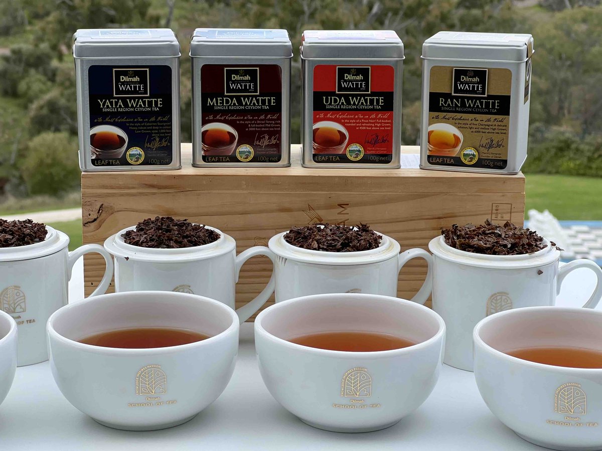 dilhanfernando's tweet photo. A chilly day in the #Barossa but perfect for fine tea. We are at the @NovotelBarossa with Prof. Sue Bastian of @UniofAdelaide and @barossawines tasting my father’s @dilmah #Watte #SingleRegion #CeylonTea alongside the terroirs of #Australia https://t.co/2W3VaoOumm