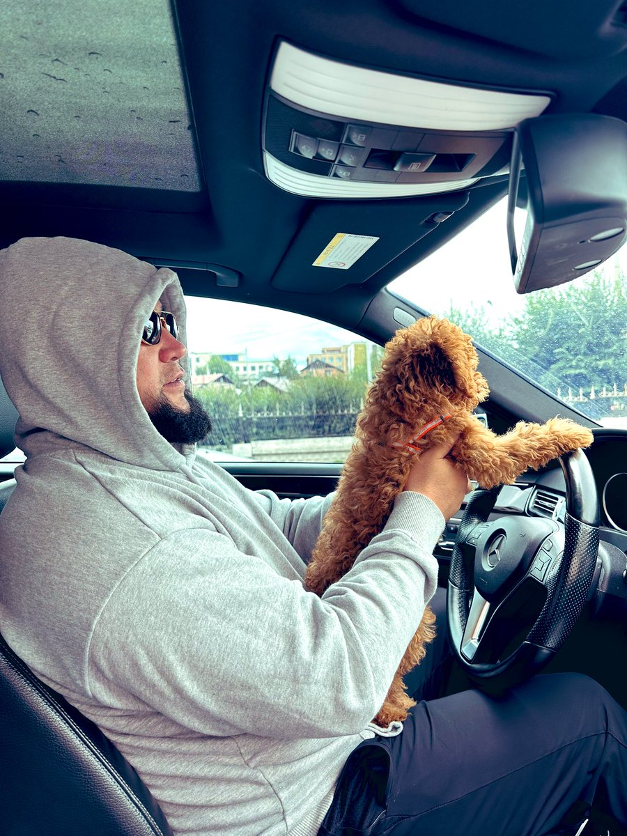 Менд Амоор (@mendamoor99) on Twitter photo 