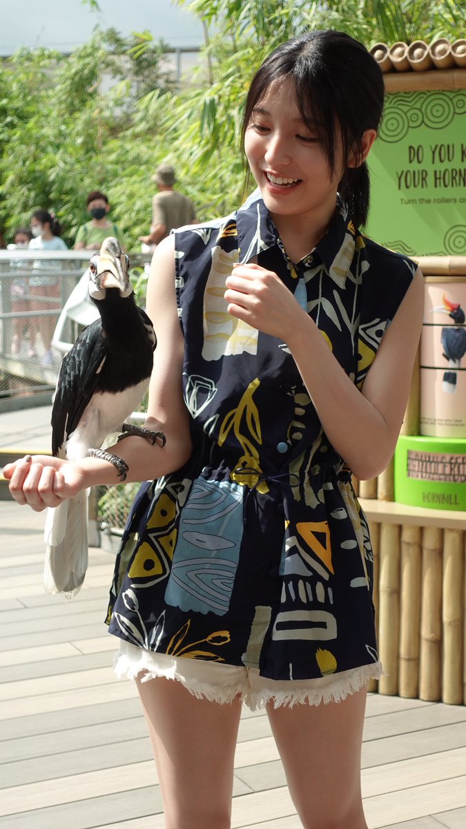 🐑 (@seirapics) / Posts / X