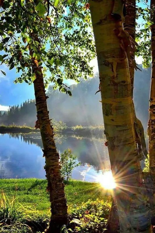 Good morning 🌞