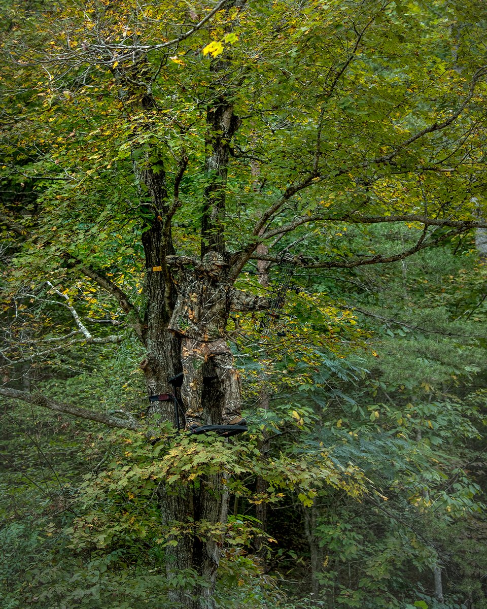 Realtree's tweet photo. Opening day in Georgia is right around the corner.
#Realtree #RealtreeEDGE https://t.co/oayy5VHaPm