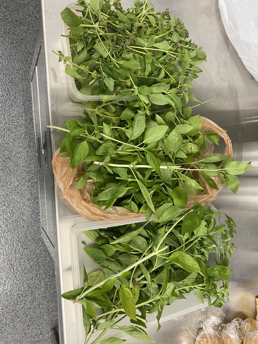 EC_CulinaryClasses tweet media