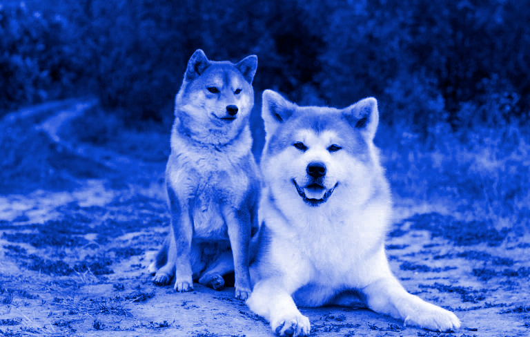 finytoken's tweet image. NEXT 100X MEMECOIN DON'T MISS THE OPPORTUNITY AGAIN!

PRESALE IS LIVE  
finytoken.com

#Bitcoin  #FINY #NFT #ETH #Dogecoin #Crypto #NFTmeme #RespectMeme #Memes #cryptomemes #cryptocurrency #CryptoTwitter #Ethereum #CryptoCommunity #BuildOnBase #finyarmy