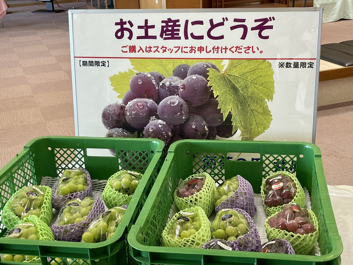 今年もぶどうの販売を始めました。
お土産にどうぞ😊
 #井原ゴルフ倶楽部