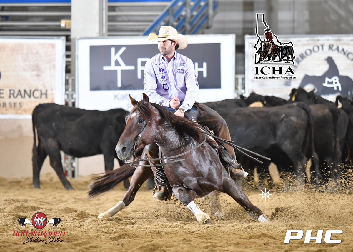 PHorseCentral's tweet photo. #AdanBanuelos continues to dominate in Nampa at the #IdahoFuturity taking 3 out of the top 4 spots in the 4YO Open Finals today. He rode Metallic Dawg owned by the #RockingPRanch to a 224 to clinch the championship and the $17,050 winners’ check.
#CHCLivescoring #cuttinghorses https://t.co/RKFeCqAIw3