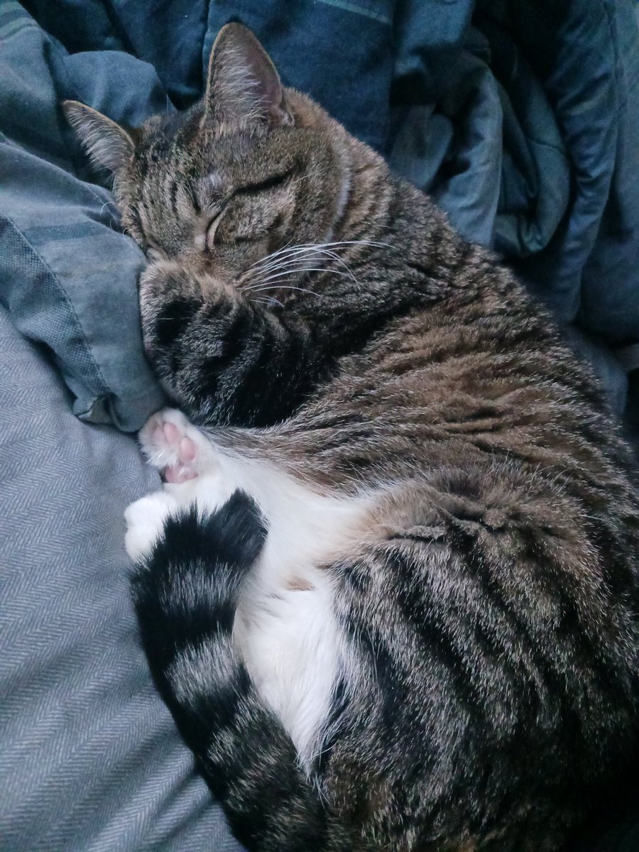 100 follower special. Love you all c: