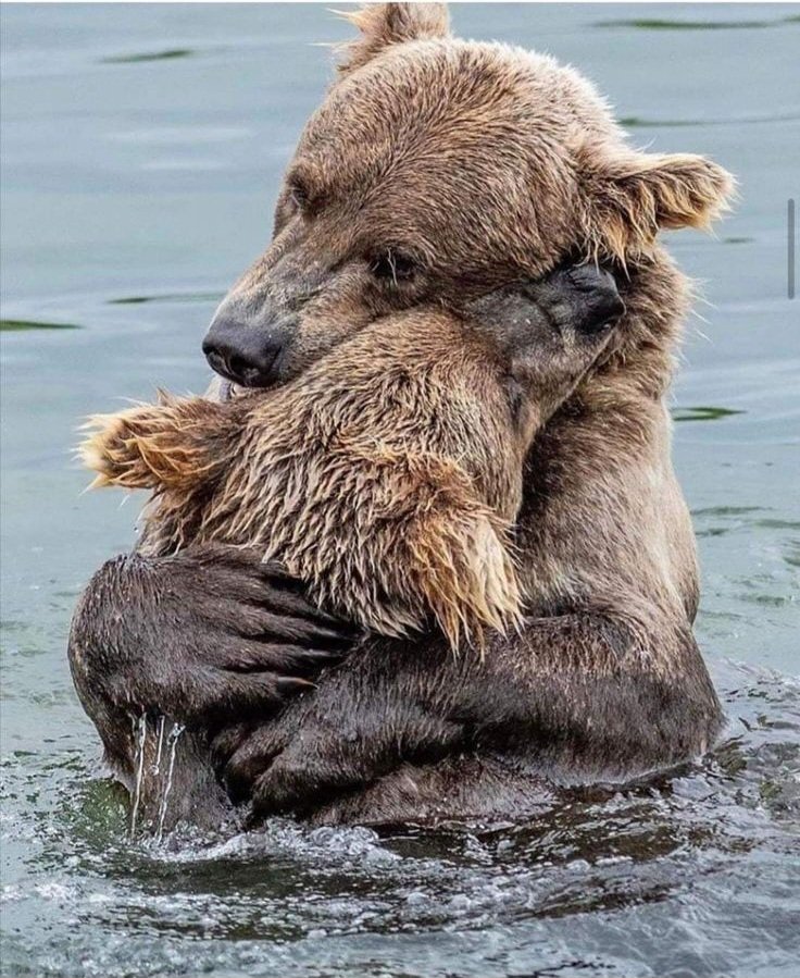 NO HAY NADA COMO UN ABRAZO DE MAMA ❤️