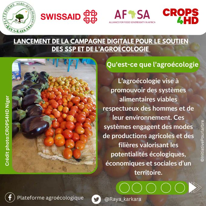 FcmnNiger's tweet photo. Raya Karkara et ses partenaires (
@AFSA
 et 
@SwissaidNiger
) lancent la campagne digitale pour la promotion des systèmes semenciers paysans au 
@Niger
 (SSP). 
#Rayakarkara #SSP_SA_Niger #SSPNiger
#Niger #AFSA #Agroecology4Climate
#Viacampesina #CGLT #COASP https://t.co/4cdRI36pXb