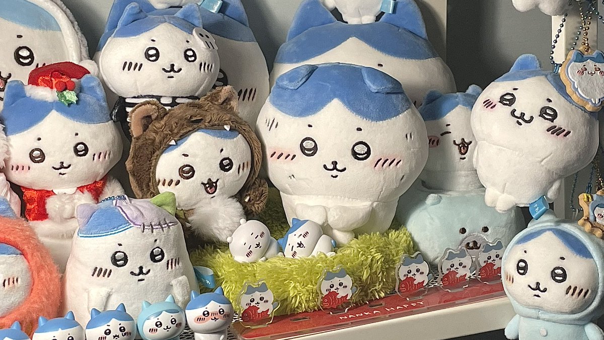 cheese_6091's tweet photo. 기쁨이 없어...
하치와레 외로워 보여... https://t.co/UNAiSWo6Ew
