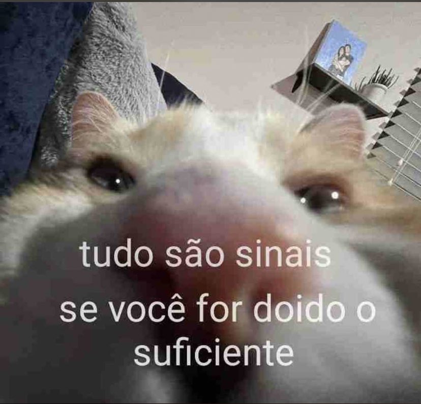 GabrielAveiroSL's tweet photo. @Snaihtniroccccc Nossa... Sigo abalado https://t.co/XV26qr6wKc