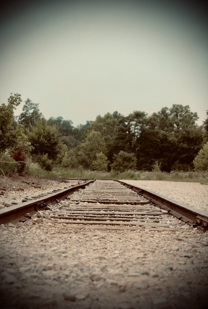 lizpip_photos's tweet image. “Even if you’re on the right track, you’ll get run over if you just sit there” -Will Rogers ✨ 

📍Ijams nature center, Knoxville TN 

#traintrack #path #nature #photograghy #PHOTOS #followyourdreams #photographylover #