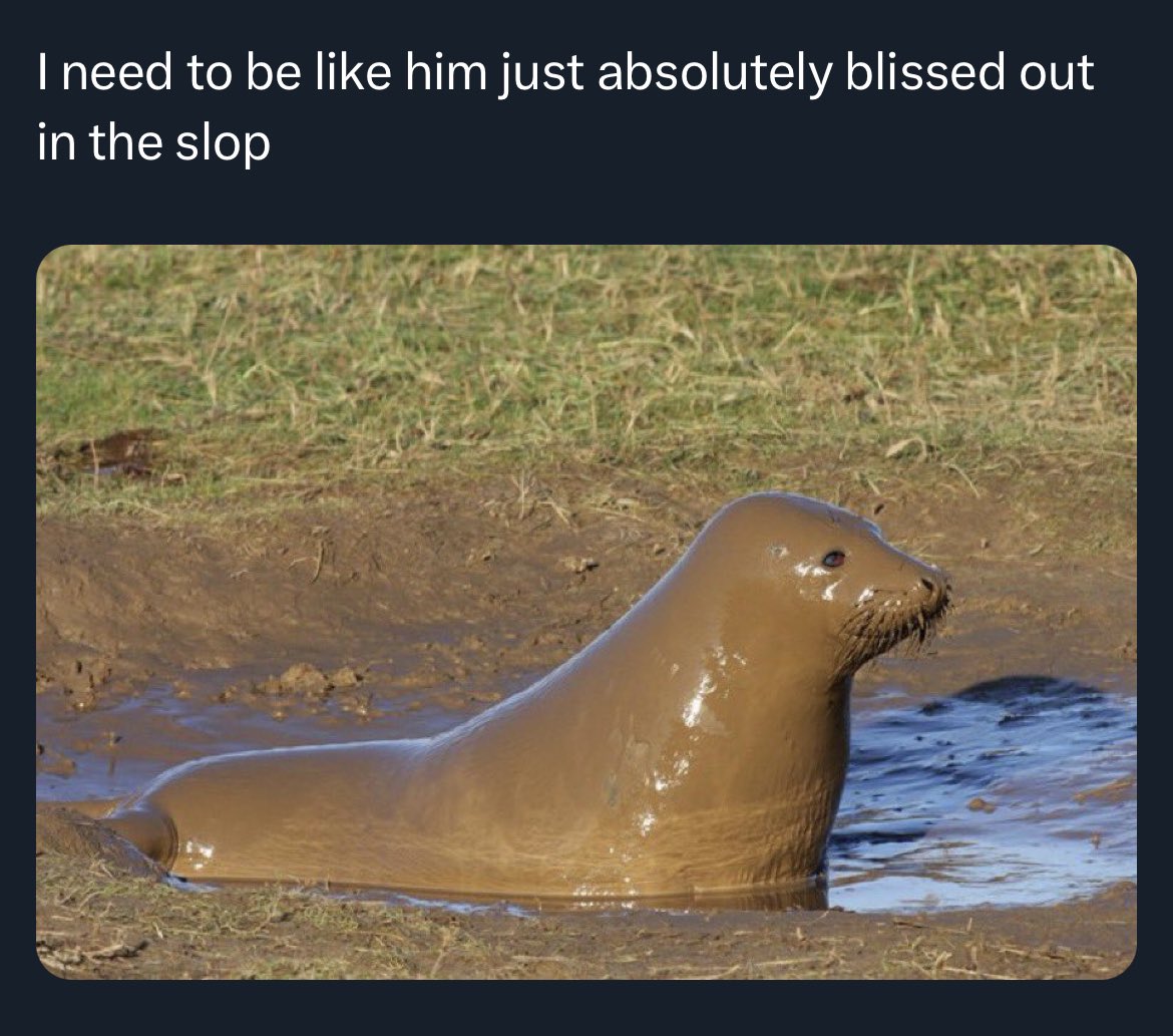 last selfie last meme etc