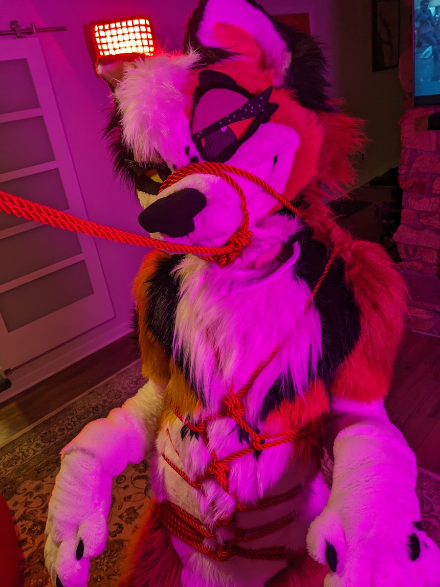 Mi reina lindísima 🙇‍♂️👑💖🦊💅