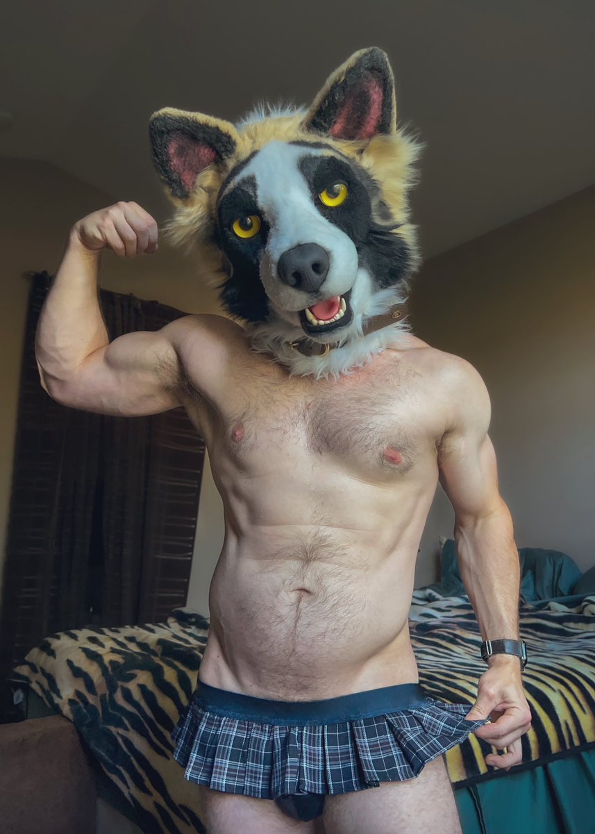 SpotGideon's tweet photo. guess you can say I’m pretty swole 💪🐶✨ https://t.co/JV0jxTHGoL