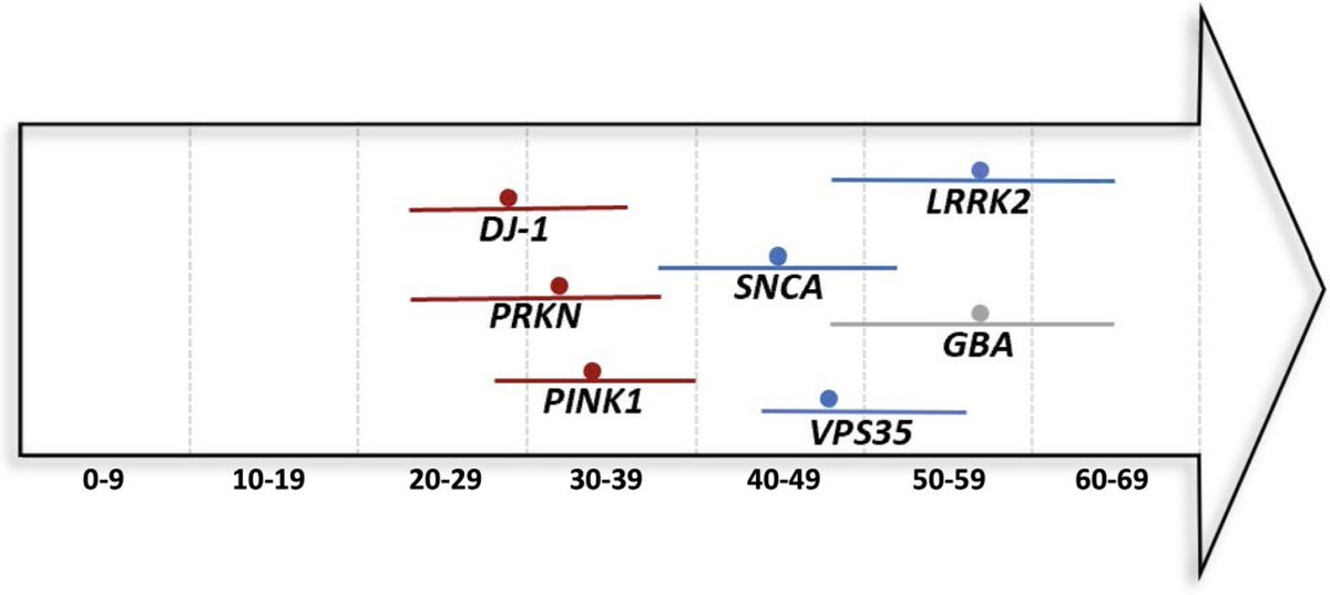 MichaelOkun's tweet image. The @MichaelJFoxOrg Global Genetic Parkinson Cohort and other initiatives helping to shine light on genetics of Parkinson's. Love this pic of ages and genetics from this @MDJ_Journal paper. …mentdisorders.onlinelibrary.wiley.com/doi/full/10.10…