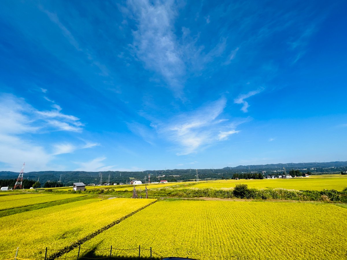 おはようございます！
今日の十日町市は晴れ☀

今日も１日頑張りましょう！

#企業公式が毎朝地元の天気を言い合う #新潟県