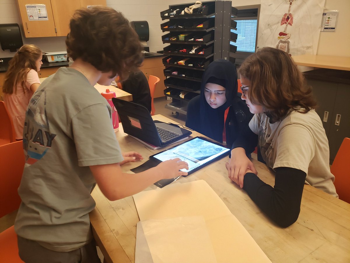 Mrs. Bisignani’s students are learning about body systems in Medical Detectives Class! Here they are dissecting owl pellets and reading x-rays!