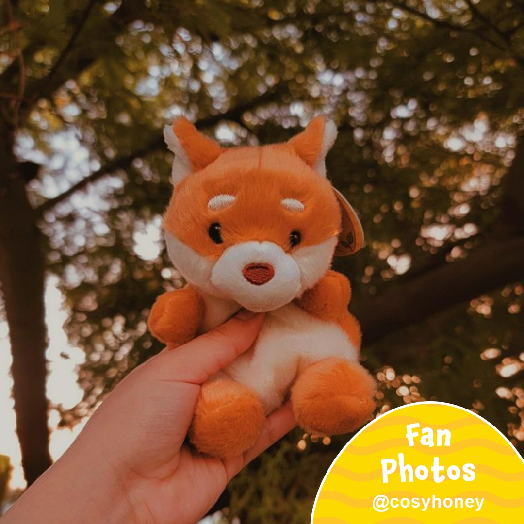 PalmpalsO's tweet photo. ๐๐ Let Keiko Shiba Inu add to your cozy fall vibes. Thank you @cosyhoney for taking Keiko for a walk in beautiful nature! ๐ท๐
#palmpalsparty #palmpals #plushies #plushlife #stuffedanimal #kawaiiplush #cuteplush #fanposts #fans #fanlove #dogplush #dogplushie #puppyplush https://t.co/p6HyORcJJc
