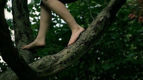 ForgottenMer's tweet image. &amp;amp;she loves the sweet scent of 𝗱𝗲𝗰𝗮𝘆 and 𝘳𝘰𝘵 that surrounds her in forests and woods. A mulchy, deep, rich rot that holds no connotation of death and ending, but rather 𝘭𝘪𝘧𝘦 and 𝘢𝘨𝘦.  A sense of perpetual 𝗱𝗲𝘀𝘁𝗿𝘂𝗰𝘁𝗶𝗼𝗻 and 𝘳𝘦𝘣𝘪𝘳𝘵𝘩.