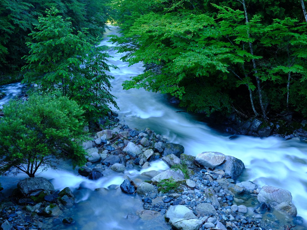 岩手早池峰山薬師川の早朝。