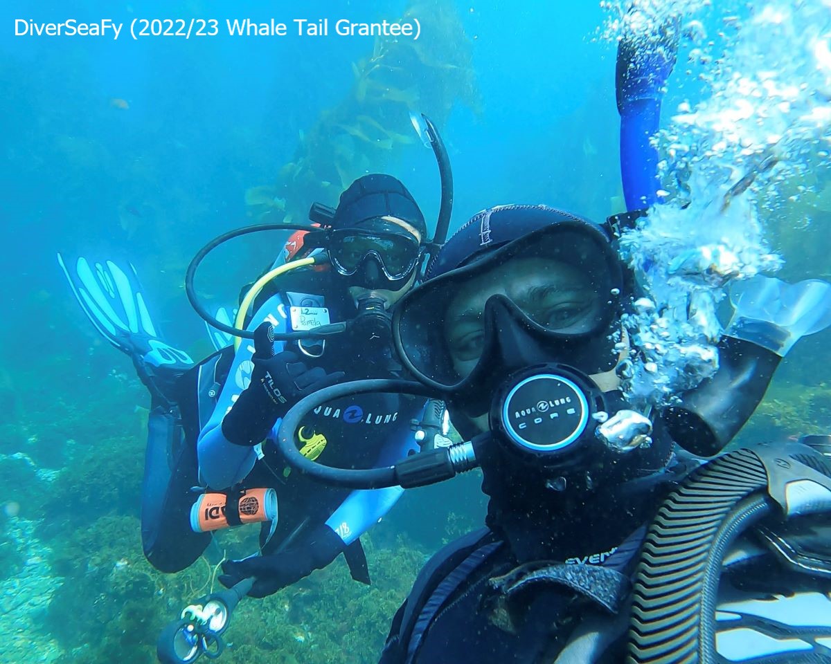 Whale Tail Grants are open for proposals through November 6. Grants of up to $50,000 support experiential education and stewardship of the California coast and its watersheds. Details: coastal.ca.gov/whaletailgrant