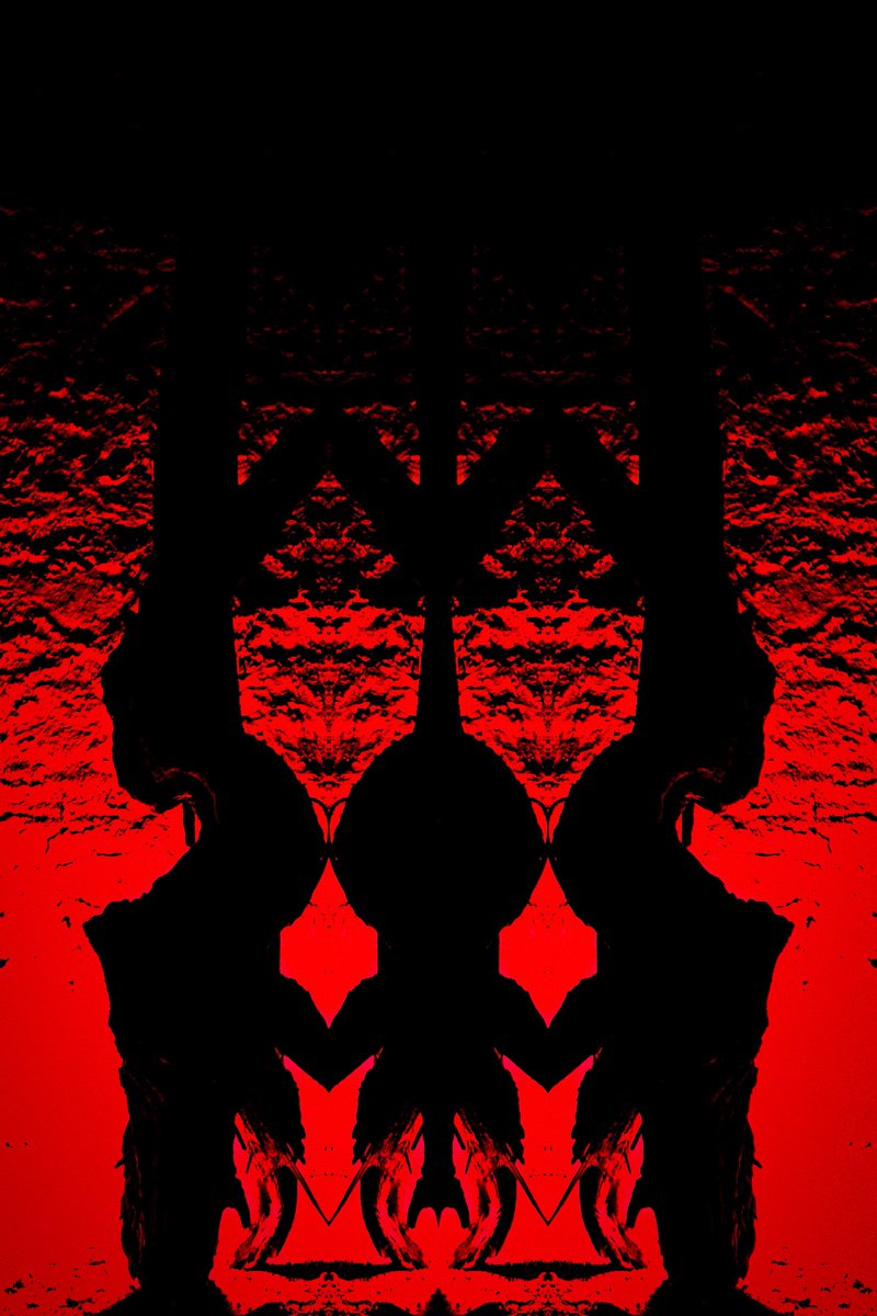 Gm everyone 🖤🌱♥️