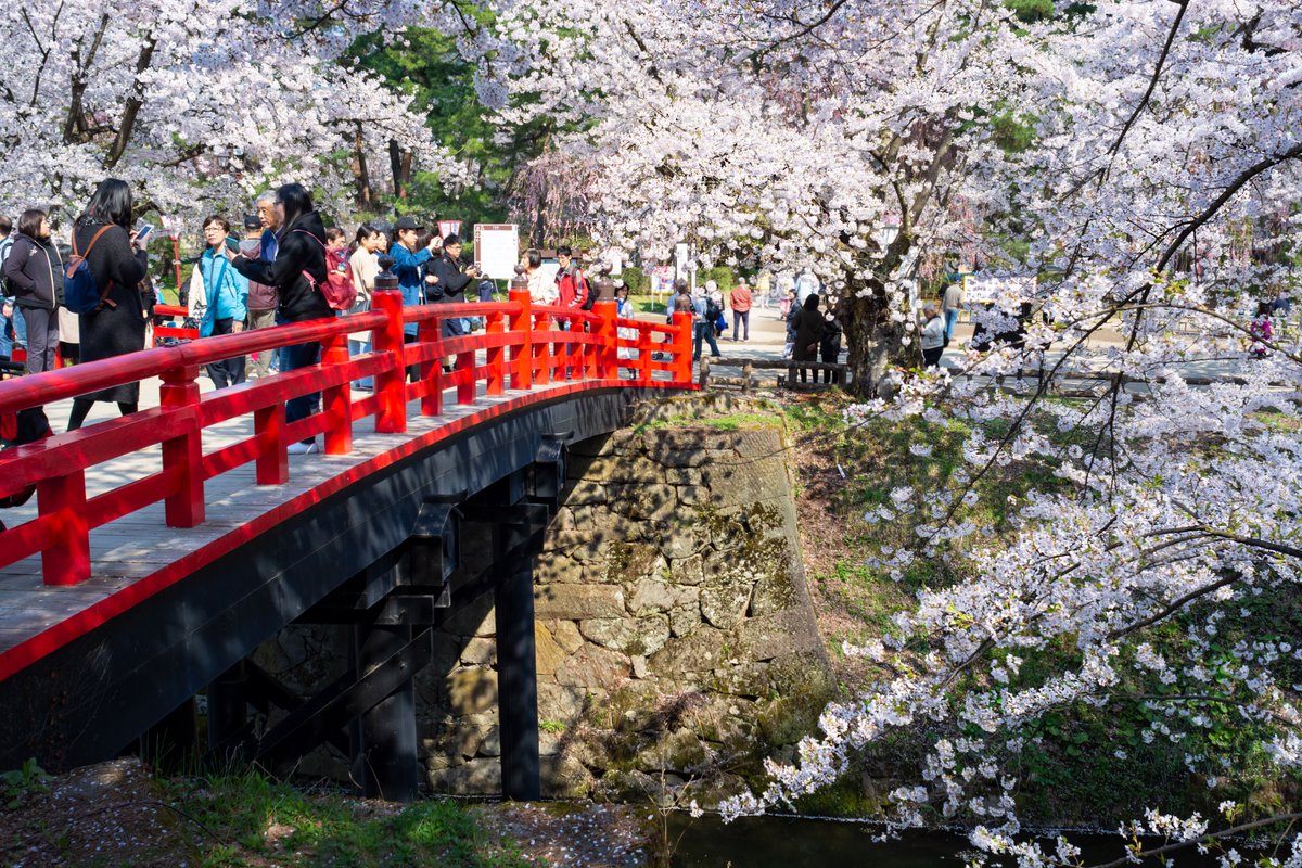 Keane Li tweet media