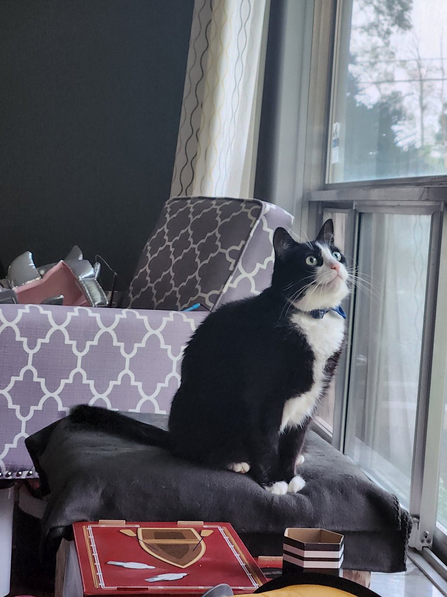 In case you forgot, I'm hella cute