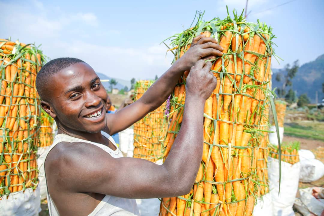AdecorRwanda's tweet photo. #Rwanda #GF4Cs focuses on professionalization of smallholder farmers in @RubavuDistrict to increase vegetable production , Postharvest handling , marketing , and market access with emphasis on regenerative agriculture practices. https://t.co/dM9yAcmeTJ
