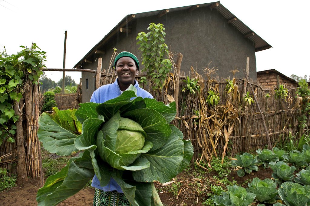 AdecorRwanda's tweet photo. #Rwanda #GF4Cs focuses on professionalization of smallholder farmers in @RubavuDistrict to increase vegetable production , Postharvest handling , marketing , and market access with emphasis on regenerative agriculture practices. https://t.co/dM9yAcmeTJ