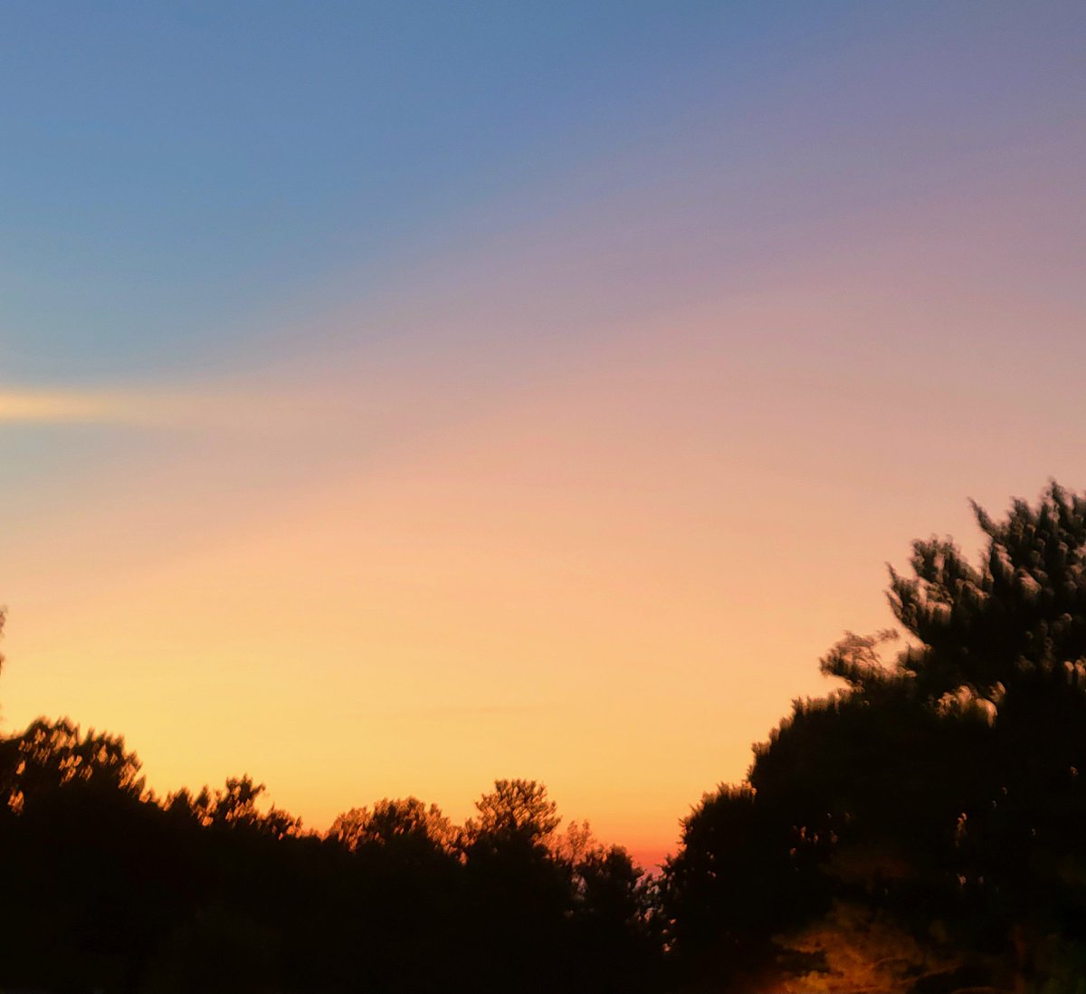 Th3RealRainbow's tweet photo. #sundown #nightsky #sunsets #Moon #Moonlovers #colorsofthesky #nighttime #fullmoon #lookup https://t.co/REieX7KO7R