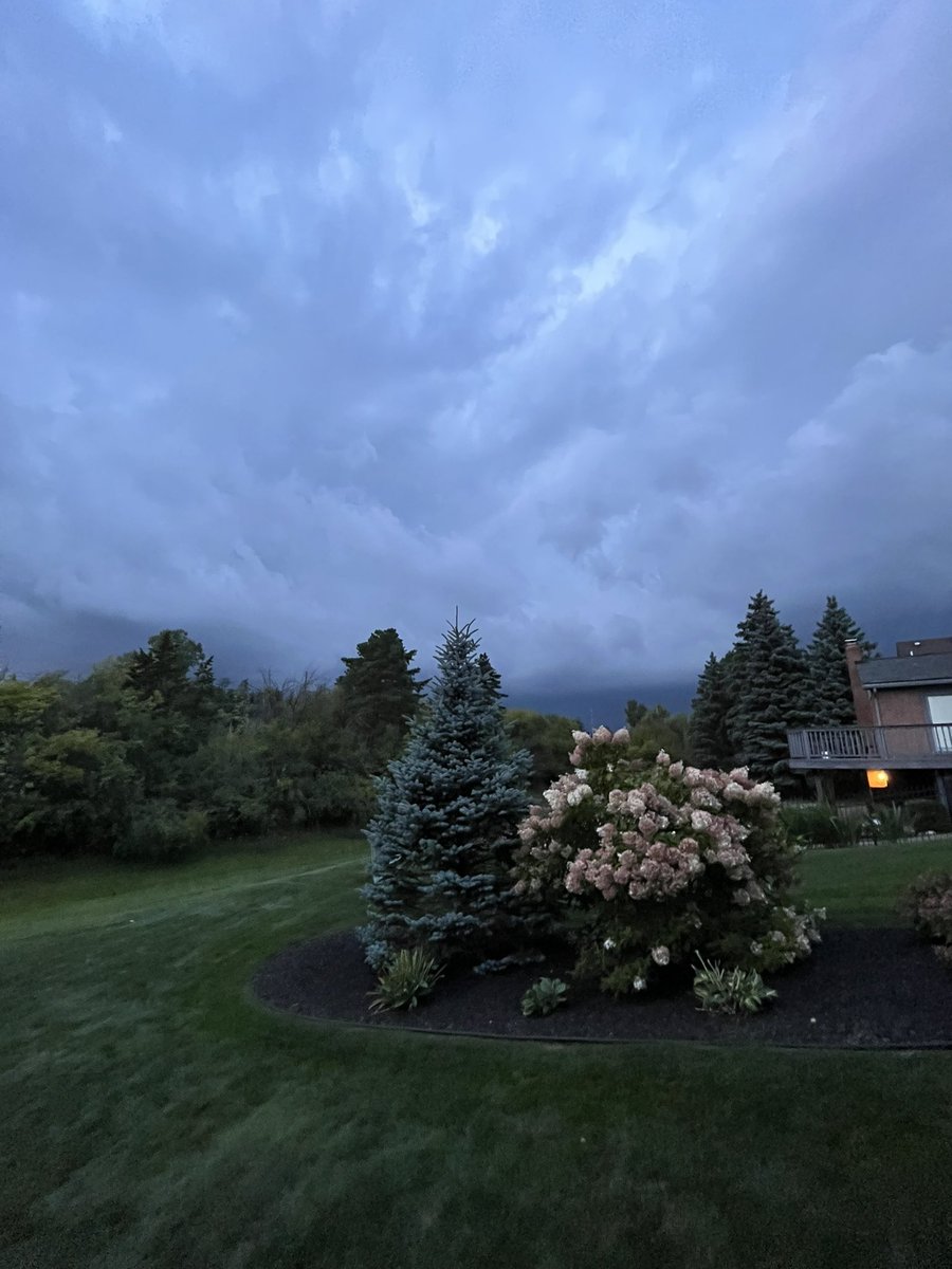 c_llamasfossen's tweet photo. First photo was taken at 7:41PM and then the last video was at 8:37PM. It was so dark, my solar lights kicked on! Luckily it looks more ominous than it is. Getting a nice little lightning show 🌩️from my window @NWSDetroit @WWJ950 #eveningstorms #summerstorms #metrodetroit https://t.co/wDQXWf3SQ4