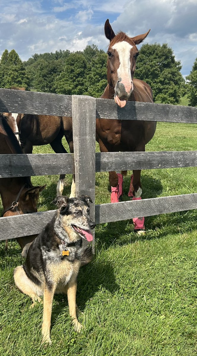 Happy Tongue out Tuesday from Jenga and Fingerpaint 👅