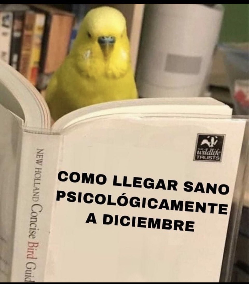 vicocamps's tweet photo. Reposteando esto por segundo año consecutivo https://t.co/bhM4Kh2giI