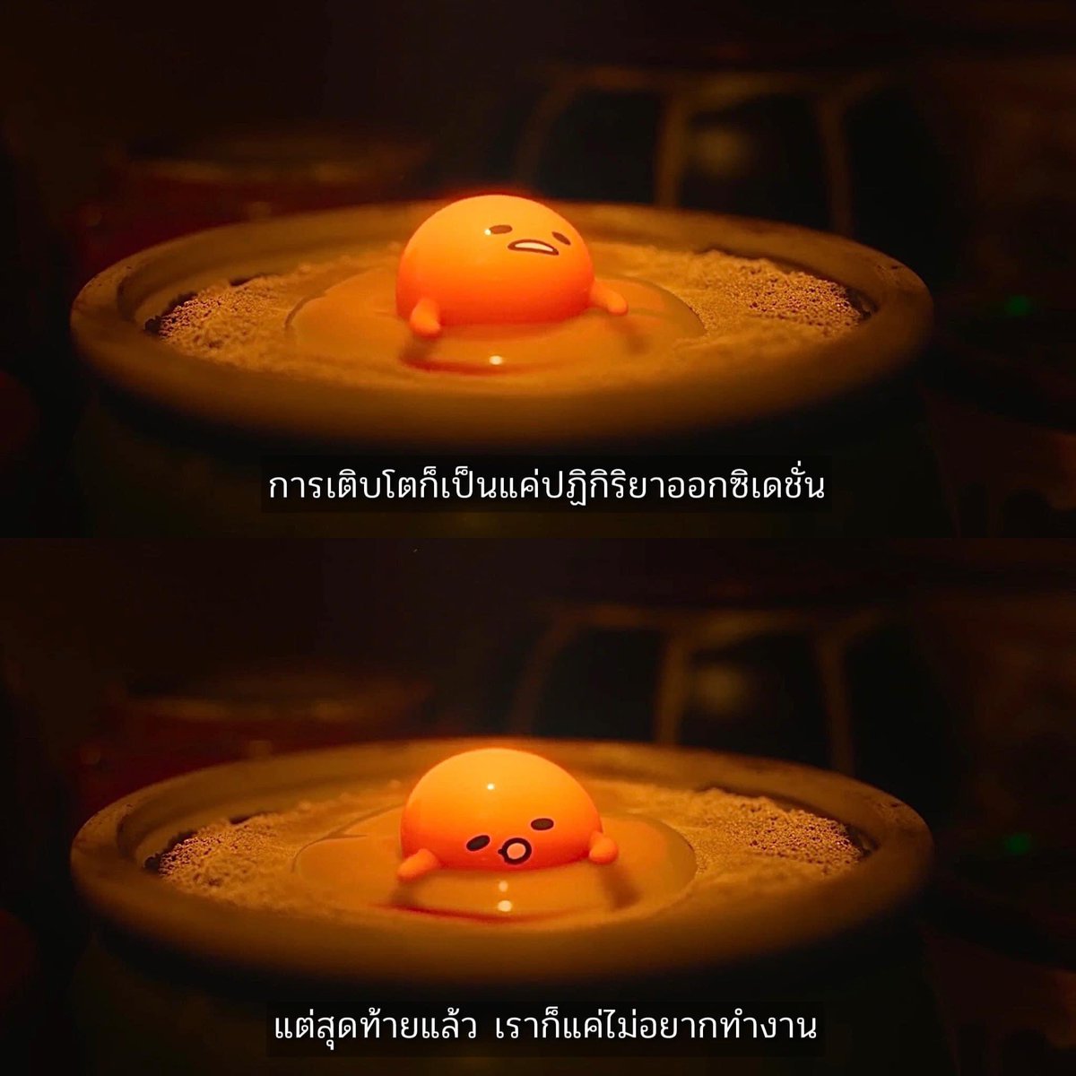 sfkkfs_'s tweet photo. ไม่อยากทำอะไรเลย นอกจากนอน 5555555555555555555555555555555555555555555 https://t.co/UxkosXb44s