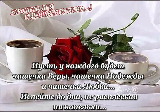 Глория tweet media